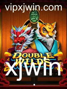 Entendendo o Jogo DoubleWilds: Descrição, Introdução e Regras